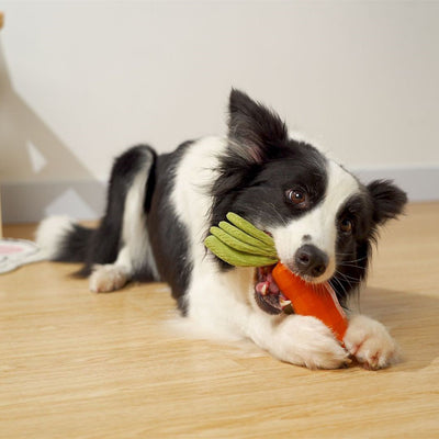 Juguete Masticable para Mascotas Zanahoria Resistente con Sonido - Image 2