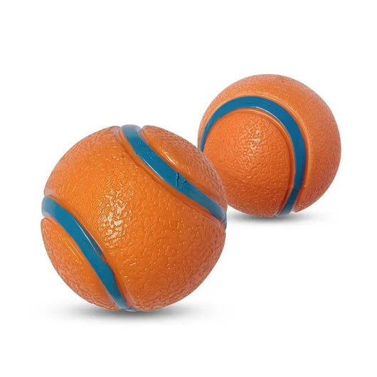 Pelota de Juego Resistente para Perros - Juguete Elástico para Traer y Masticar - Image 8
