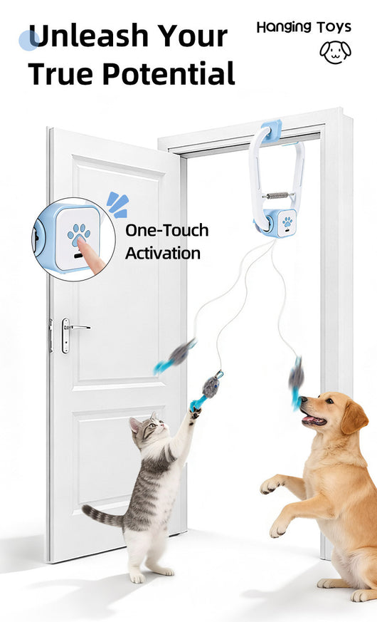 Juguete Interactivo Retráctil con Control Remoto para Mascotas - Image 10