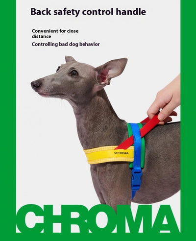 Arnés de Pecho y Correa de Tracción para Perros - Image 11