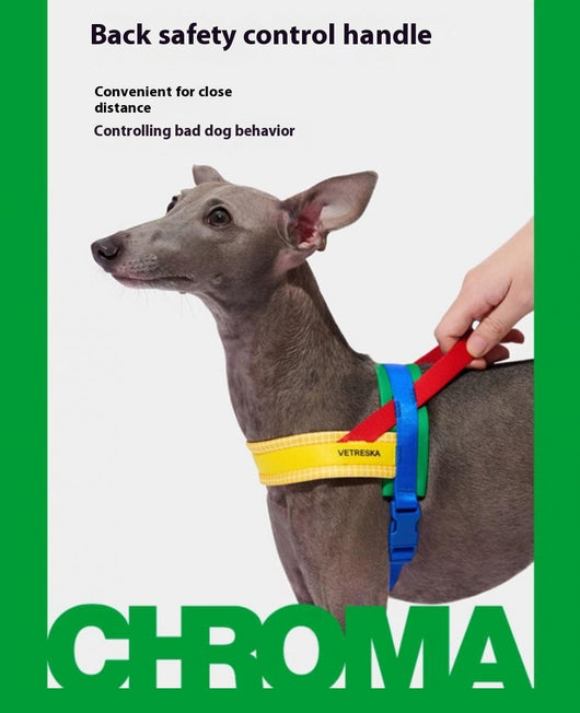 Arnés de Pecho y Correa de Tracción para Perros - Image 11