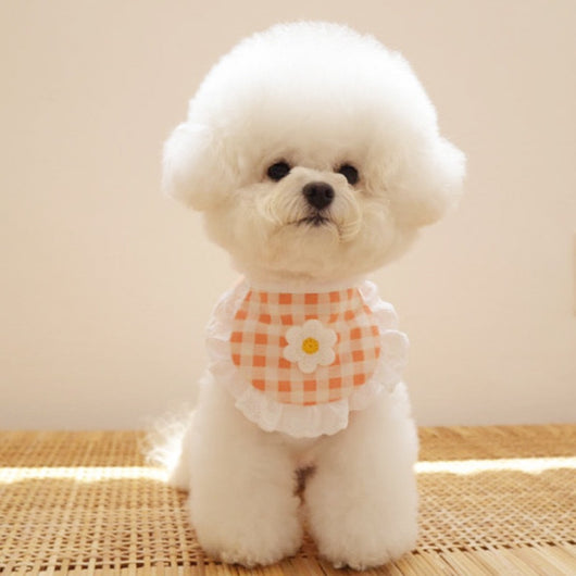 Babero Absorbente para Perros con Diseño Cuadros y Flores