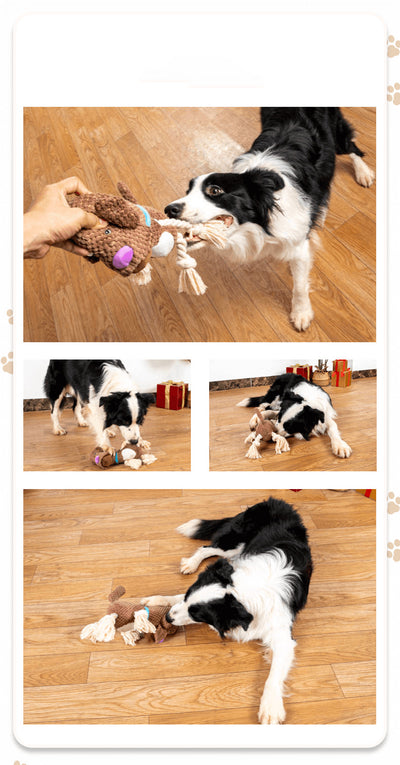 Juguete Interactivo para Perros con Sonido y Papel Crujiente - Resistente a Mordidas - Image 8