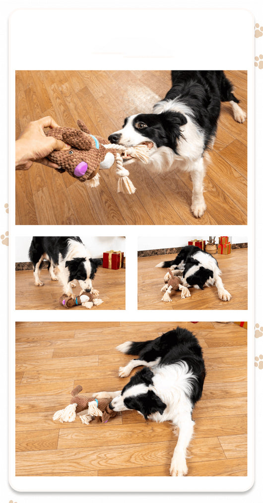 Juguete Interactivo para Perros con Sonido y Papel Crujiente - Resistente a Mordidas - Image 8