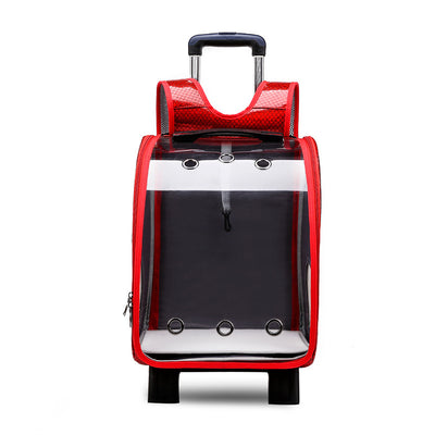 Mochila Transportadora Transparente Plegable para Perros Pequeños con Bolsillo Pañales - Image 4