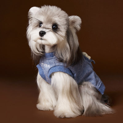 Suéter sin Mangas para Perro Bichón Maltés con Cabeza de Oso 3D