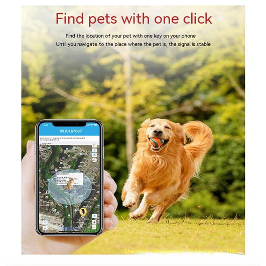Localizador GPS 4G para Mascotas con BeiDou - Collar Rastreador Impermeable - Image 12