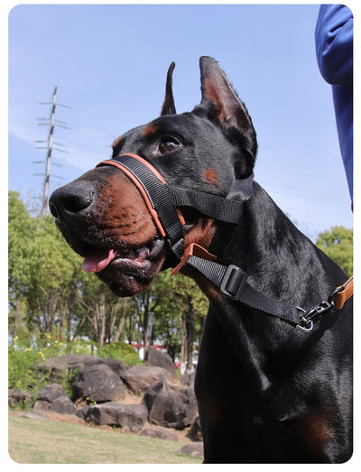 Black and brown leather and nylon dog muzzle with adjustable straps and a D-ring, shown with a size chart. - Image 11