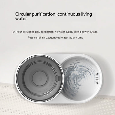 Fuente de Agua y Comedero Automático para Gatos - Image 3
