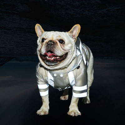 Impermeable Reflectante Transparente para Perros - Image 3