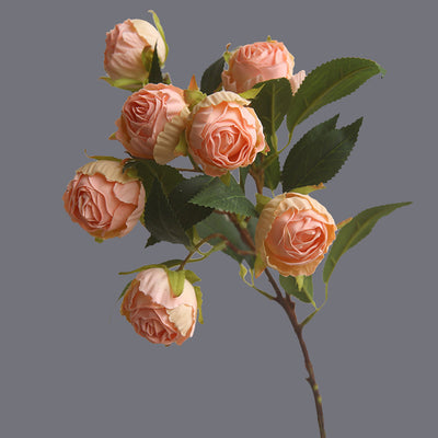 Rosa Clásica Francesa con Bordes Quemados - Flor Seca Artificial - Image 7