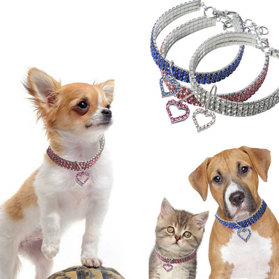 Collar Elástico de Cristal para Mascotas - Image 8