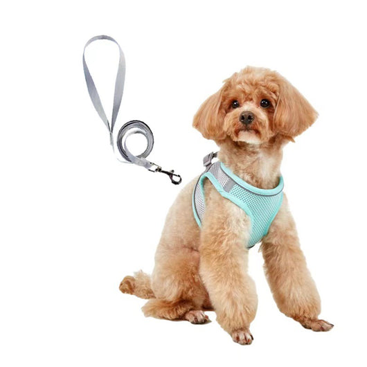 Small light brown poodle wearing an orange mesh dog vest harness with reflective trim and a retractable leash. - Image 3