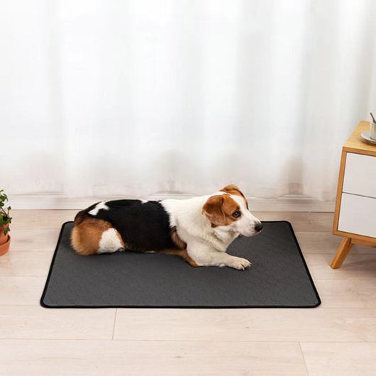 Tapete Absorbente Impermeable para Perros - Colchoneta Reutilizable Antideslizante - Image 10
