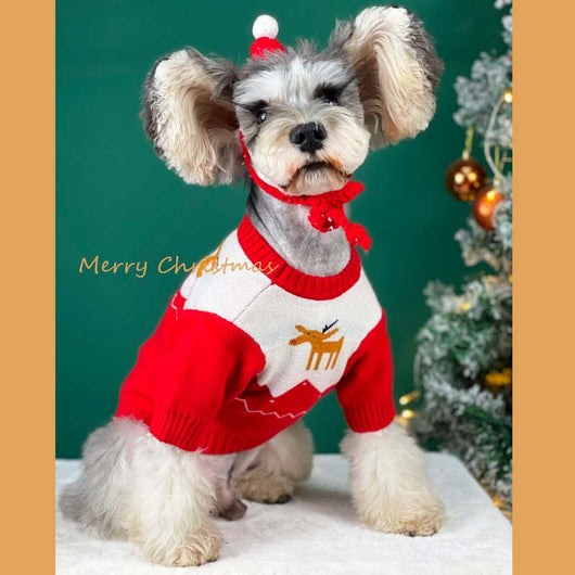 Suéter Tejido para Perros - Abrigo Otoño e Invierno - Image 2