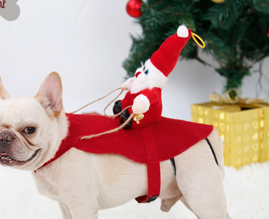 Disfraz Navideño para Perros - Papá Noel en Trineo - Image 10