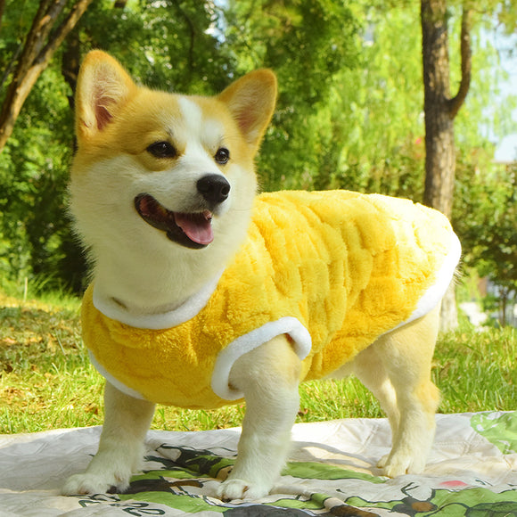 Chaleco Acolchado para Perros Medianos - Protección Térmica Invierno y Otoño