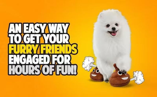 Juguete Interactivo para Mascotas con Sonidos Divertidos - Image 8