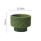 AK 225 Corto Verde Oliva Maceta De Cemento