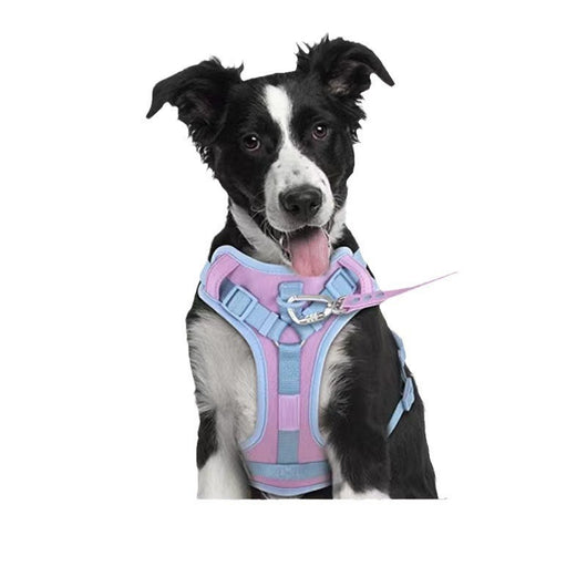 Pink and blue dog harness with padded chest and back, adjustable straps, and a top handle for walking. - Image 4