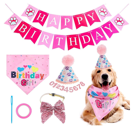Sombrero de Cumpleaños para Perros con Números y Bandana - Image 11