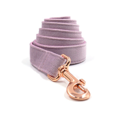 Collar y Correa para Mascotas en Terciopelo Gris Oscuro - Image 9