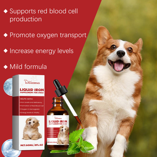 Suplementos Digestivos para Perros con Ingredientes Naturales - Image 7