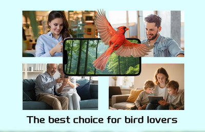 Comedero Inteligente para Aves con Cámara y Energía Solar - Image 10