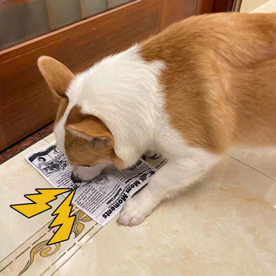 Juguete Interactivo para Perros Resistente a Mordidas con Sonido de Periódico - Image 17