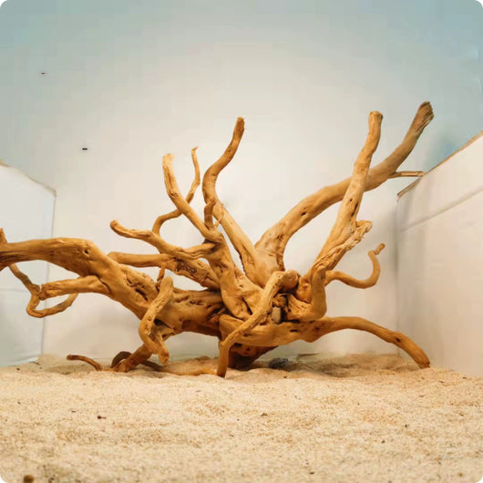 Decoración de Raíces Naturales para Acuarios - Ornamento Xiaoqi - Image 7