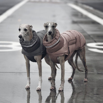 Chaleco Térmico Acolchado para Perros - Abrigo de Algodón - Image 2