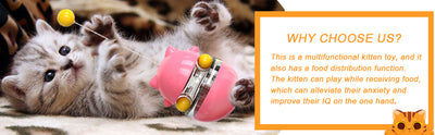 Juguete Dispensador de Premios para Gatos - Alimentador Interactivo para Entrenamiento Mental - Image 12