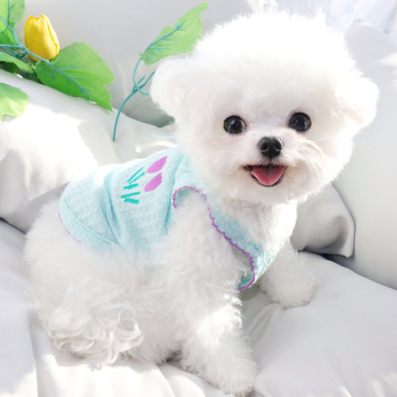 Ropa Premium VIP Teddy Bomei para Gatos y Perros Pequeños