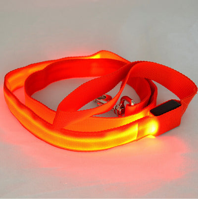 Correa LED Luminosa para Perros - Paseos Seguros de Noche - Image 9