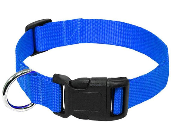 Correa para Perro de Nylon Resistente