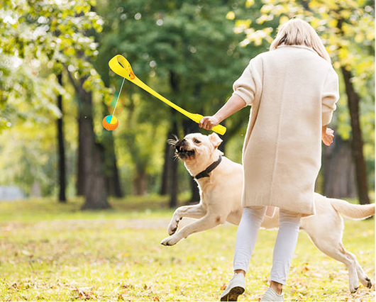 Lanzador de Pelotas para Perros - Alcance Máximo - Image 5