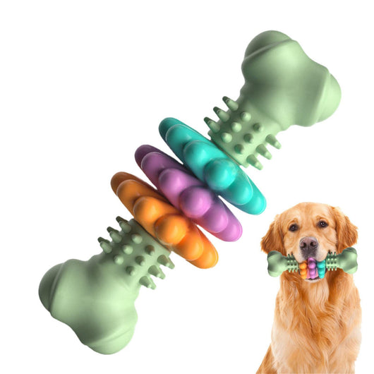 Juguete Masticable para Perros - Hueso TPR Resistente para Limpieza Dental - Image 18