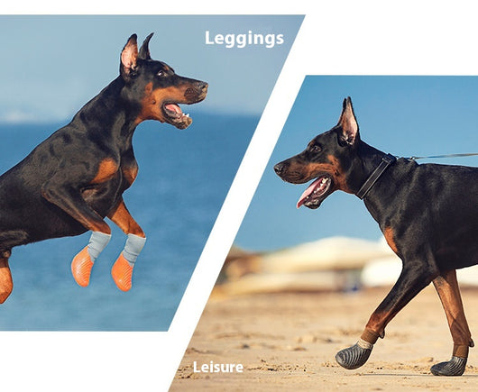 Zapatillas Deportivas Outdoor para Mascotas con Suela Antideslizante Biomimética - Image 10