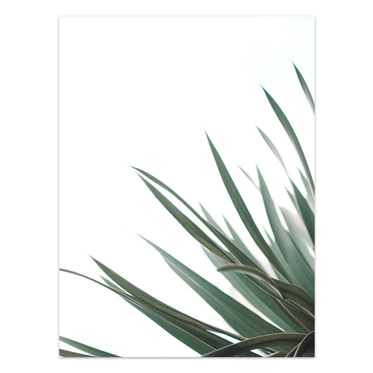 Póster de Plantas Tropicales Estilo Nórdico - Lámina de Hojas Verdes - Image 15