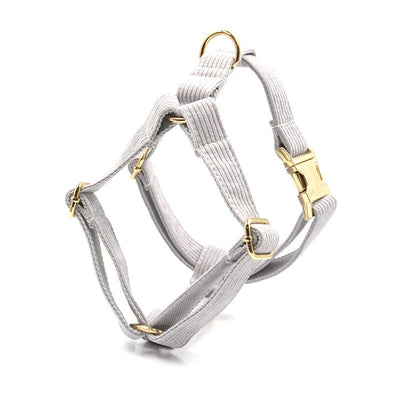 Chaleco Reflectante para Perros con Diseño Láser - Image 6
