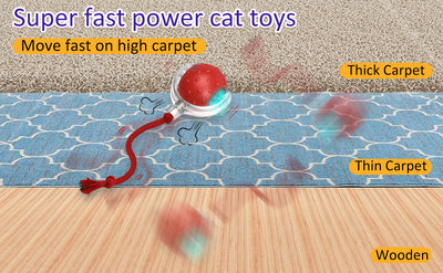 Red interactive cat toy ball with a clear outer shell, glowing blue light, and a red rope, shown with a kitten. - Image 13
