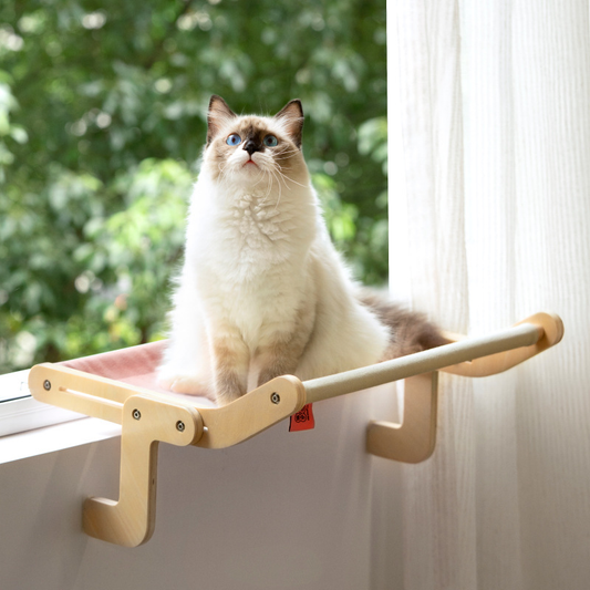 Hamaca Colgante para Gatos en Ventana - Reposa Cristal