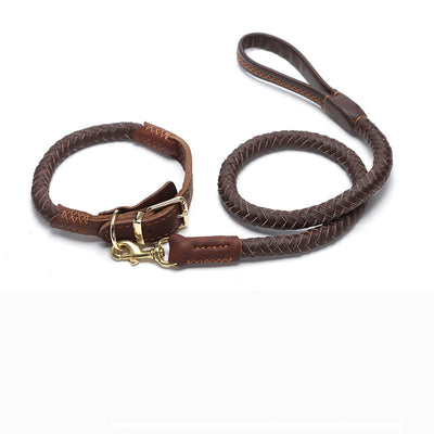 Correa de Perro Reforzada con Cadena Antiroturas para Razas Medianas y Grandes - Image 8