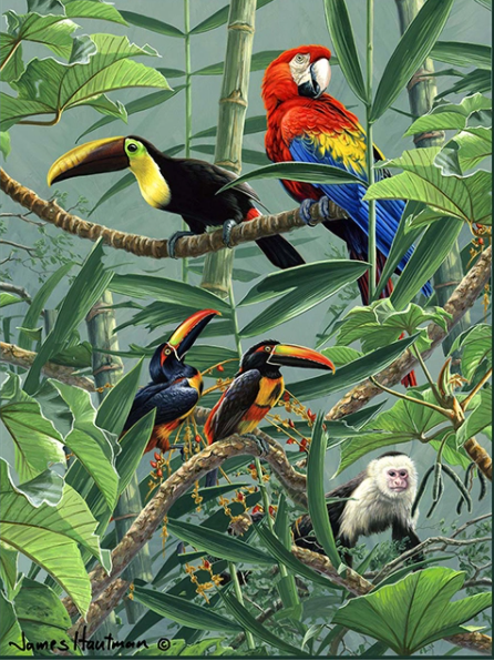 Marco Digital con Pintura al Óleo - Lienzo Interactivo para Colorear - Image 10