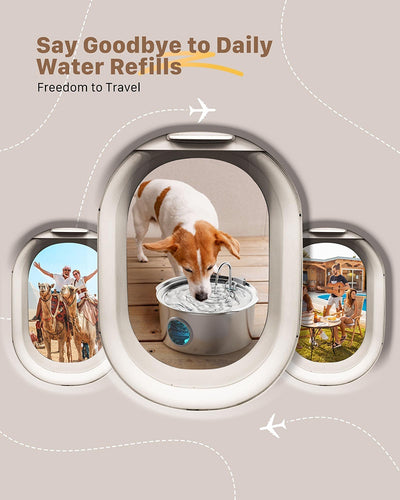 Dispensador Automático de Agua con Calefacción para Mascotas - 7L Acero Inoxidable - Image 28
