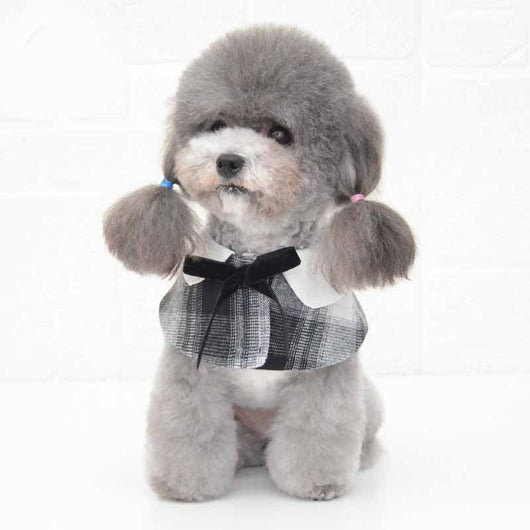 Pañoleta Elegante con Moño para Mascotas - Image 8