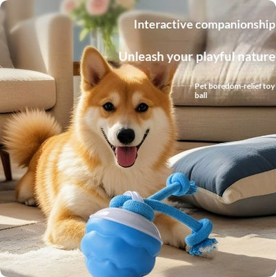Juguete Interactivo Inteligente para Perros con Pelota Recargable - Image 11