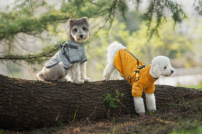 Impermeable para Perros Pequeños y Medianos con Arnés Integrado - Image 17