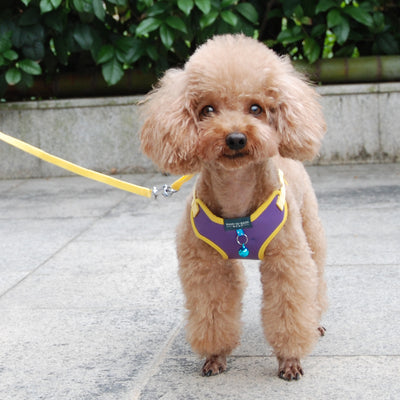 Chaleco Protector de Cuero y Malla Suave para Perros y Gatos - Image 23