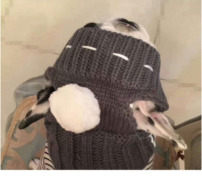 Gorro Divertido para Bulldog Francés y Pug - Image 20